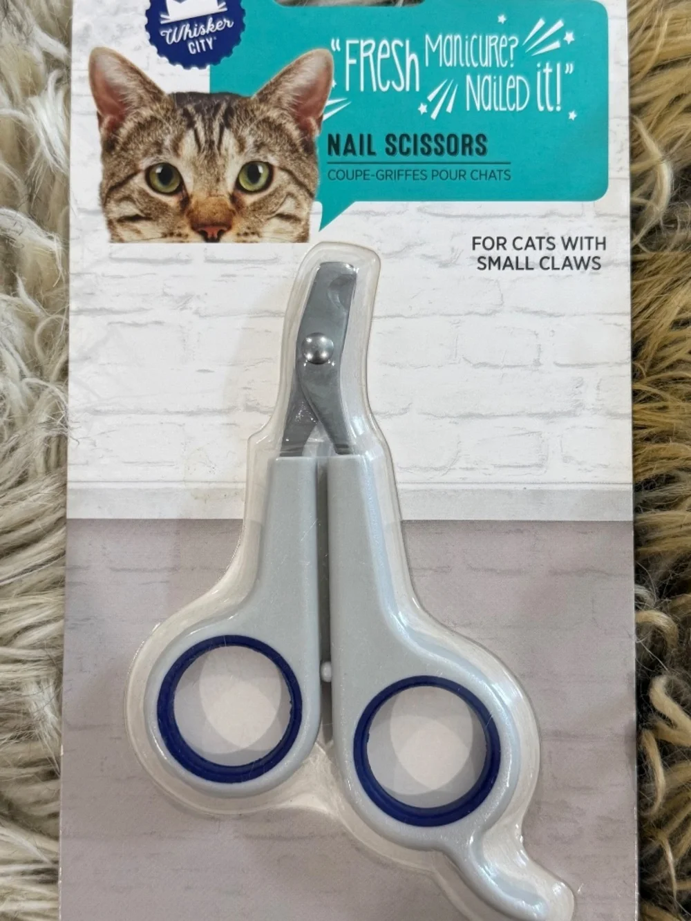 Whisker City all whisker